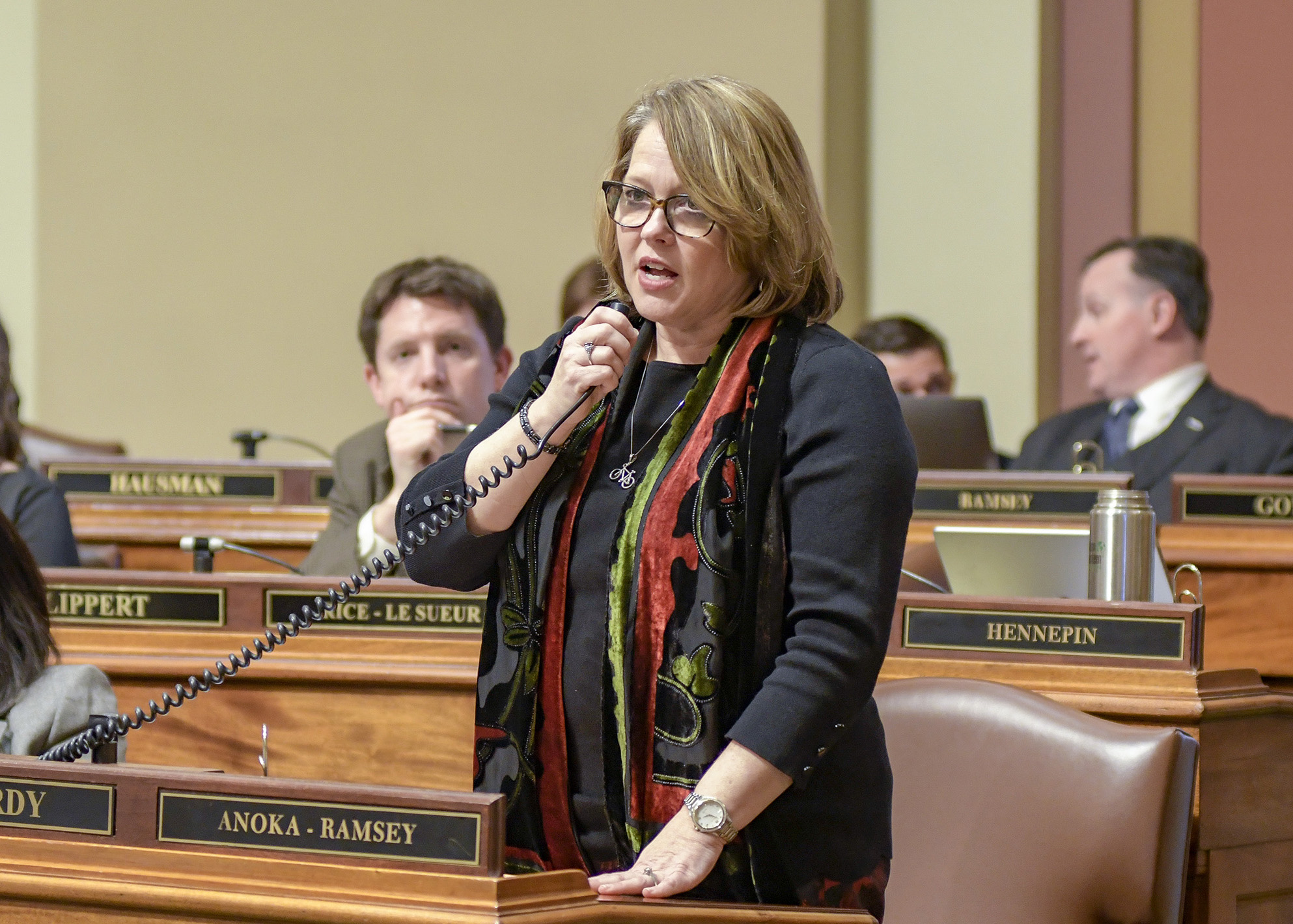 Rep. Connie Bernardy presents HF462, a bill modifying certain bicycle traffic regulations, on the House Floor Feb. 14.  Photo by Andrew VonBank